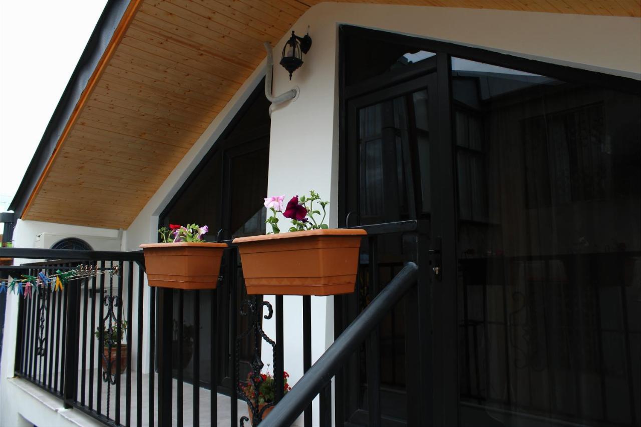 Nitsa Guest House Gori Exteriör bild